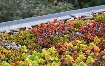 the cost of Tregatillian green roof installation