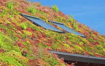 Tregatillian living roof systems